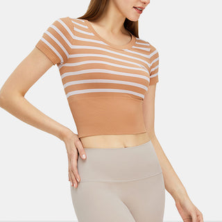 Stripe Short Sleeve Seamless Top