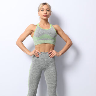 Seamless Sports Bra & Leggings