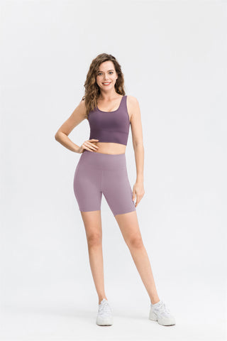 Mesh High Waisted Biker Shorts