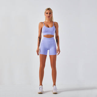 Seamless Gym Yoga Set Sports Bra & Shorts for Women