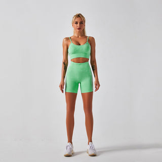 Seamless Gym Yoga Set Sports Bra & Shorts for Women