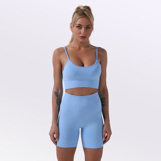 Seamless Gym Yoga Set Sports Bra & Shorts for Women