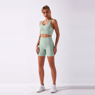 Seamless Gym Yoga Set Sports Bra & Shorts for Women