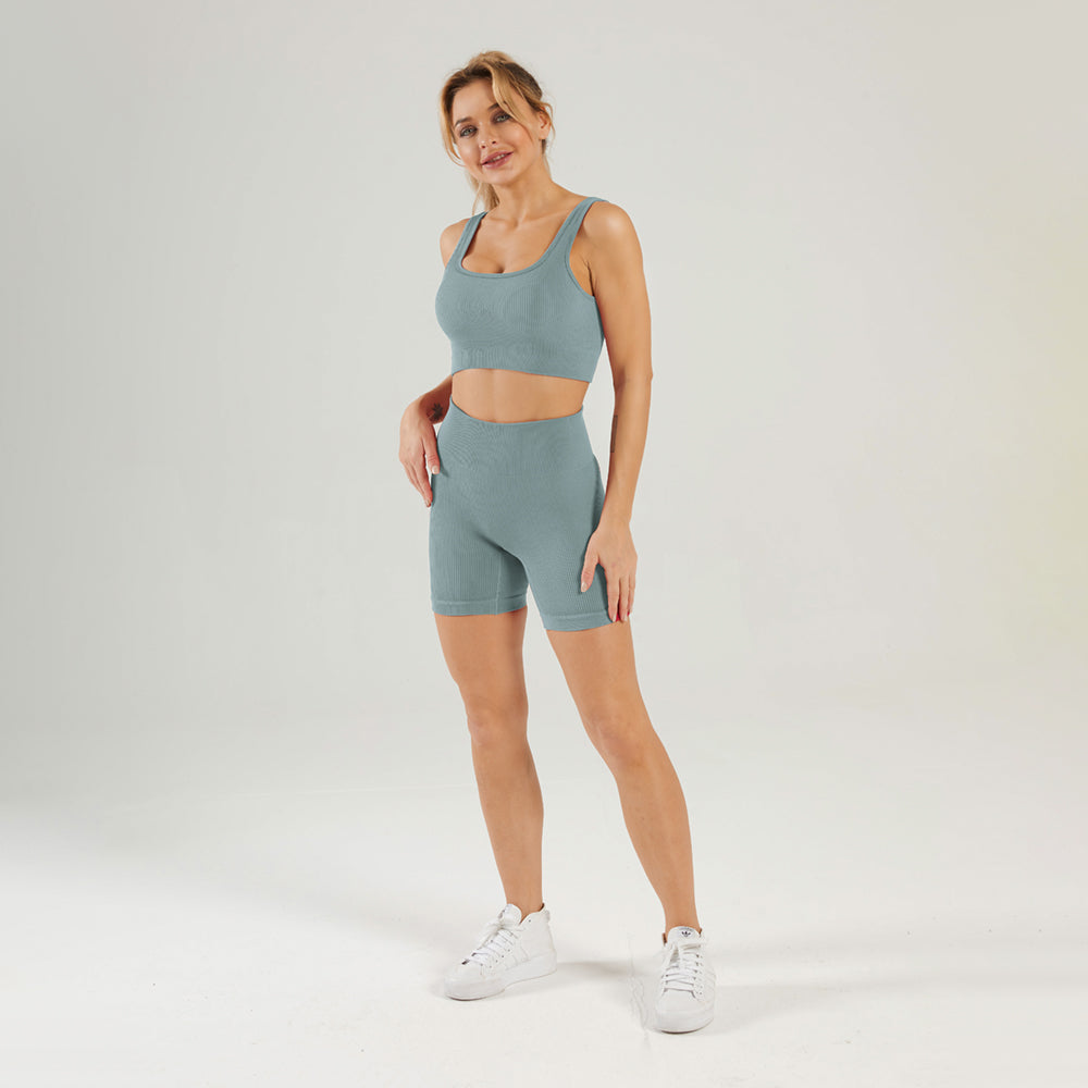 Seamless Gym Yoga Set Sports Bra & Shorts for Women