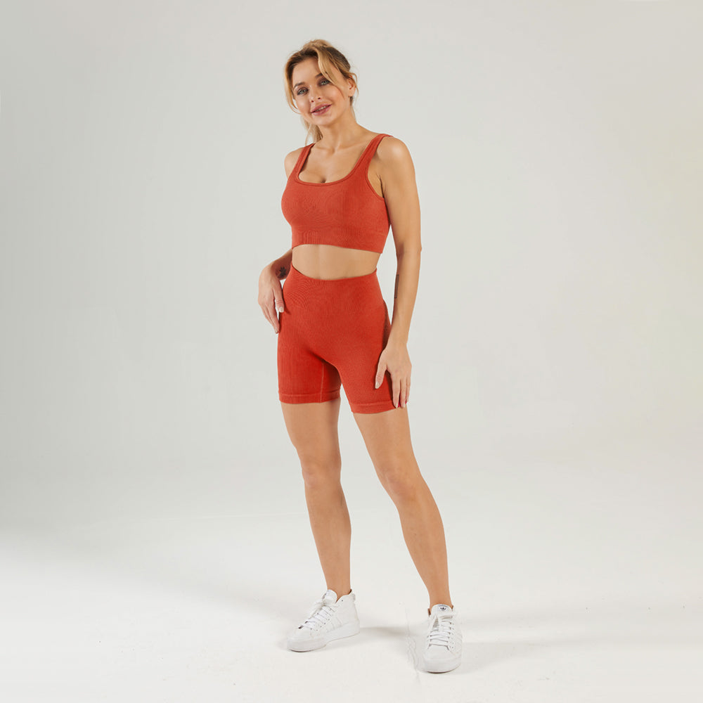 Seamless Gym Yoga Set Sports Bra & Shorts for Women