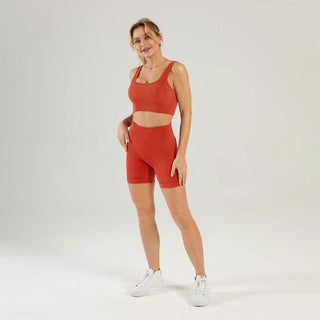 Seamless Gym Yoga Set Sports Bra & Shorts for Women