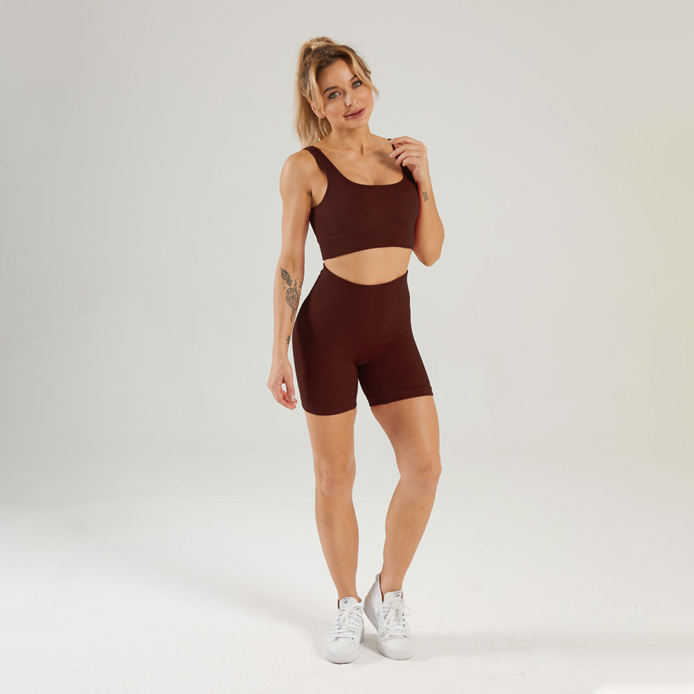 Seamless Gym Yoga Set Sports Bra & Shorts for Women