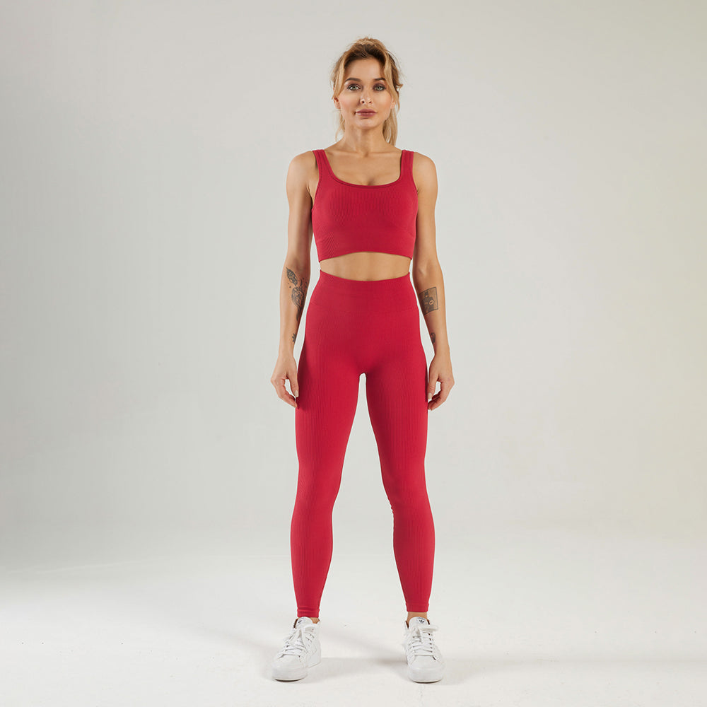 Seamless Gym Yoga Set Sports Bra & Leggings for Women