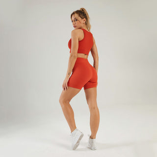 Seamless Gym Yoga Set Tank Top & Shorts for Women