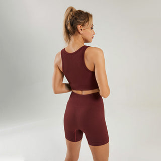 Seamless Gym Yoga Set Tank Top & Shorts for Women