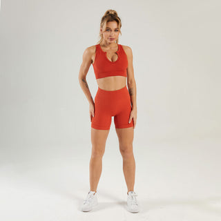 Seamless Gym Yoga Set Tank Top & Shorts for Women