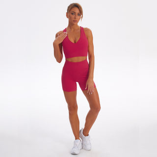 Seamless Gym Yoga Set Sports Bra & Shorts