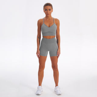 Seamless Gym Yoga Set Sports Bra & Shorts