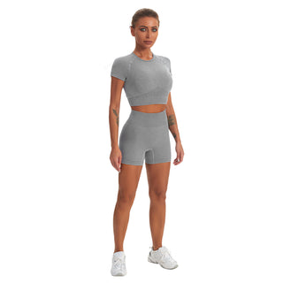 Seamless Gym Yoga Set Short Sleeve Top & Shorts