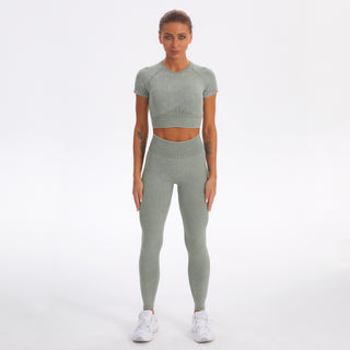 Seamless Gym Yoga Set Short Sleeve Top & Leggings